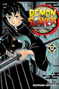 Demon Slayer 12