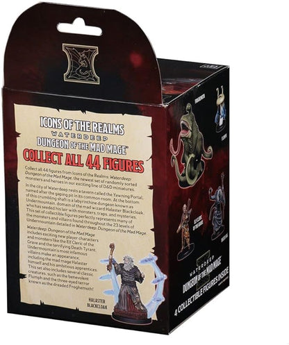 D&D Icons of the Realms Dungeon of the Mad Mage