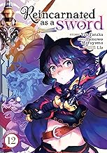 Reincarnated as A Sword 12