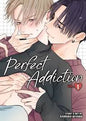 Perfect Addiction